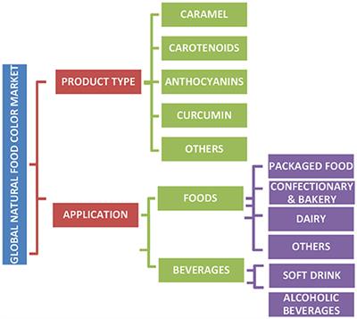 Microbial Pigments in the Food Industry—Challenges and the Way Forward